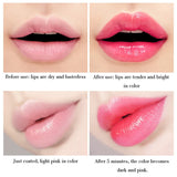 Magic Color-changing Lipstick Aloe Vera Long Lasting Moisturizing Lip Balm Fade Lip Wrinkle Fast Lightening Pink Lip Care Repair