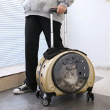 Pet Luggage Backpack Outdoor Large Capacity Breathable Portable Aviation Suitcase Folding Cats Cat Carrier