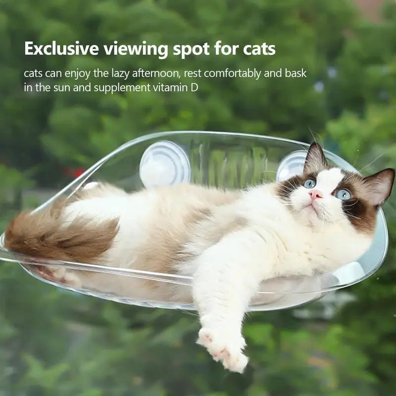 Wall Mount Cat Hammock Wall Shelves Cat Furniture with Suction Cup Transparent Hammock Wall Cat Bed Kitten Furniture for pets