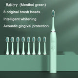 Personal Care Small Appliances Dental Scaler Adult Household Magnetic Levitation Vibration Sonic Battery Electric Toothbrush