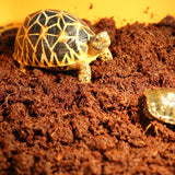 Tortoise Reptile Bedding Soil 650g Reptile Coconut Soil Natural Coconut Fiber Substrate Lizard Reptile Terrarium Bottom Supplies