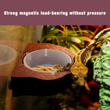 New Reptile Gecko Food Water Bowl Magnetic Adsorption Feeding Dish With Separate Food Basin Bearded Dragon Terrarium Decor