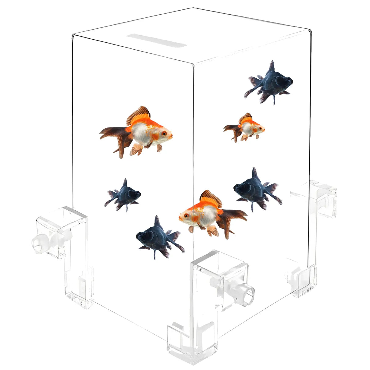 Fish Elevator-Negative Pressure Fish Tank Water Fish Tank Water Level Maintenance Increase Fish Activity Area Aquarium Decor