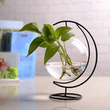 Creative Mini Clear Glass Aquarium Goldfish Bowl Hanging Hydroponic Glassware Hanging Glass Vase Clear Creative Hydroponic