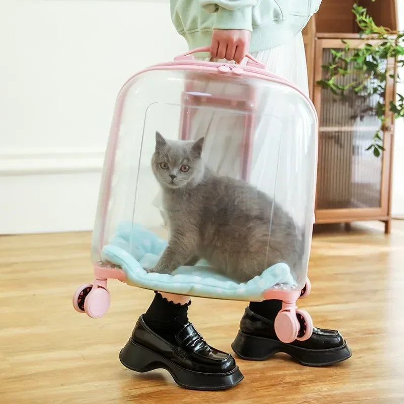 1PCS Clear pet backpack, cat carrier bag, portable capsule, pet carrier bag