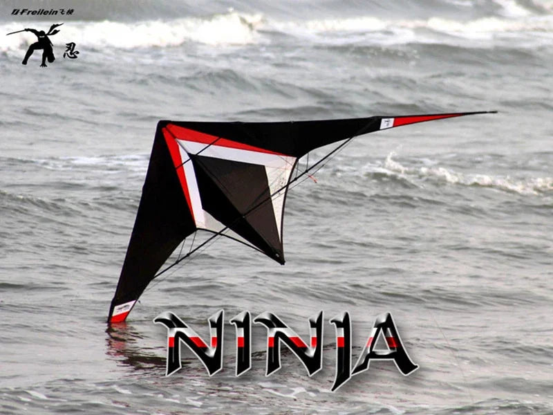 Free shipping Freilein kite Factory dual line stunt kite flying professional wind kites kitesurf accessories inflatable kites