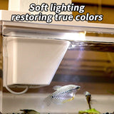 1PC Fish Tiny Fish Tank Office Small Betta Aquarium Light With Filter Micro Landscape Fish Tank Office Desktop Home Ornaments