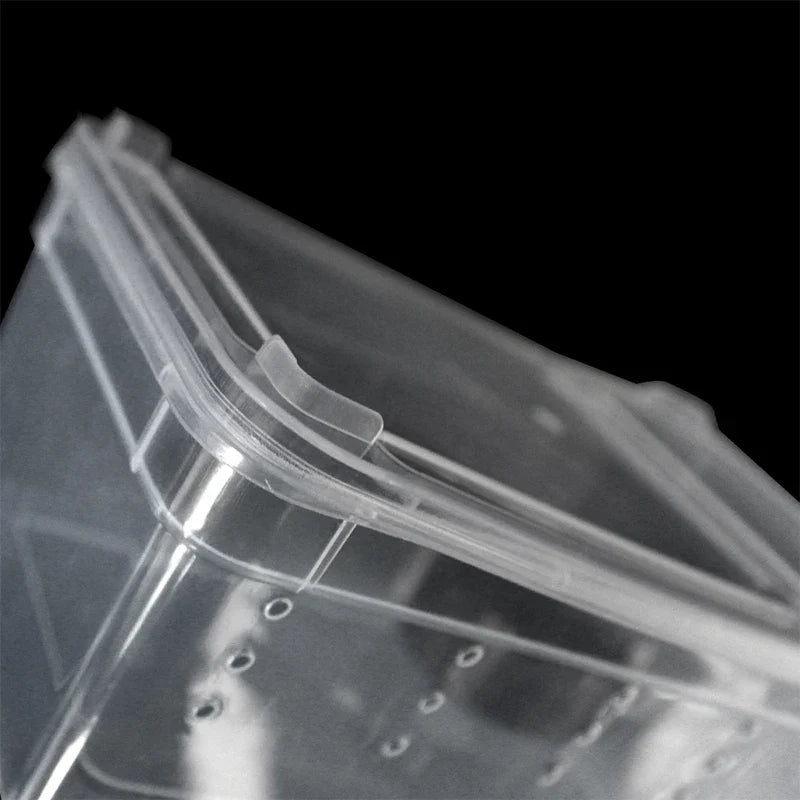 19cmx12.5cmx7.5cm Terrarium For Reptiles Spider Transparent Plastic Feeding Box Insect Food Feeding Container terrarium bowls