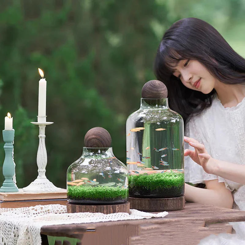 Ecological Bottle Micro Landscape Glass Ecological Fish Tank Aquarium Aquarium Small Fish Water Grass Bottle