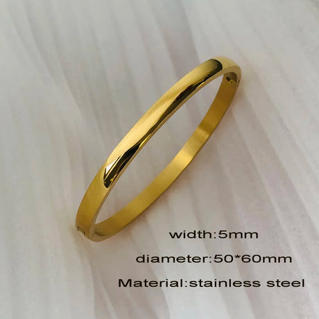 Fashion Punk Gold Color Bangles for Women Trendy Stainless Steel Metal Bracelets Bohemian Jewelry Accessories Gift Wholesale