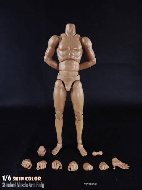 COOMODEL 1/6 Standard Muscle Male Soldier Body MB001 MB002 MB003 BD001 BD002 BD003 BD004 25/27CM Military Action Figure Doll