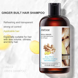 Ginger Shampoo Herbal Professional Anti-hair Loss Itching Dandruff Oil-Control Refreshing Nourishing Hair Care Shampoo 샴푸