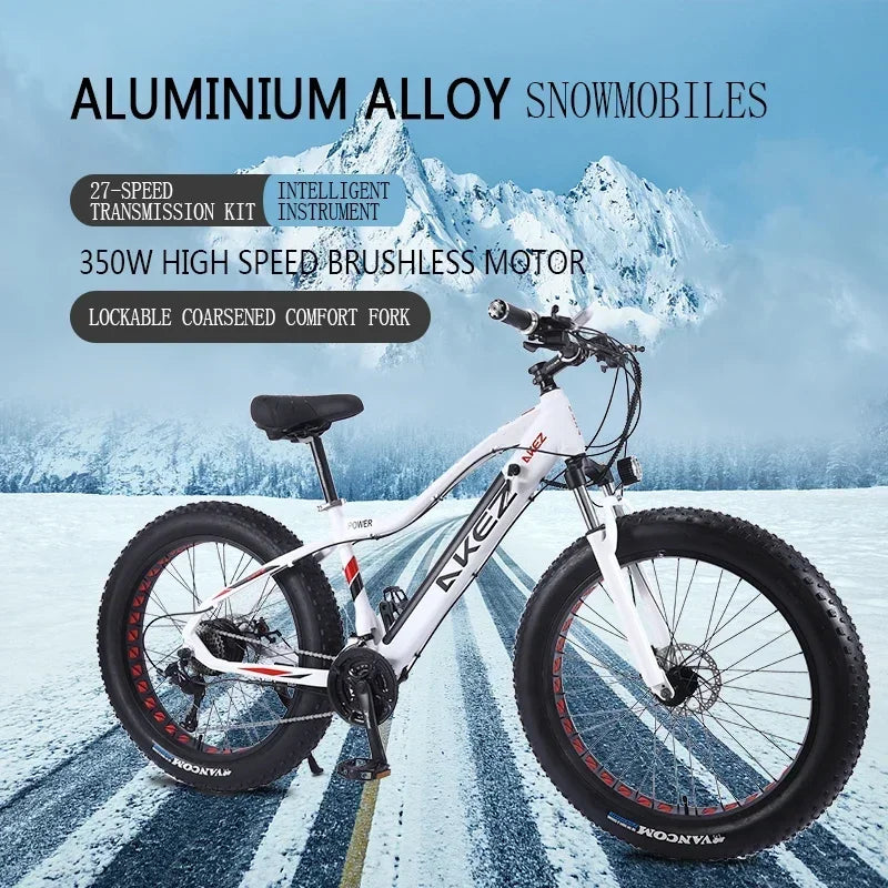 US EU UK 4.0 Fat Tire 26 Inch Electric Snow Bicycle Mountain e bike 750W Brushless Motor Cruiser Bikefor Men Electric bicycle