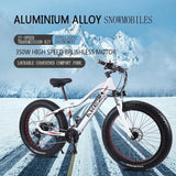 US EU UK 4.0 Fat Tire 26 Inch Electric Snow Bicycle Mountain e bike 750W Brushless Motor Cruiser Bikefor Men Electric bicycle