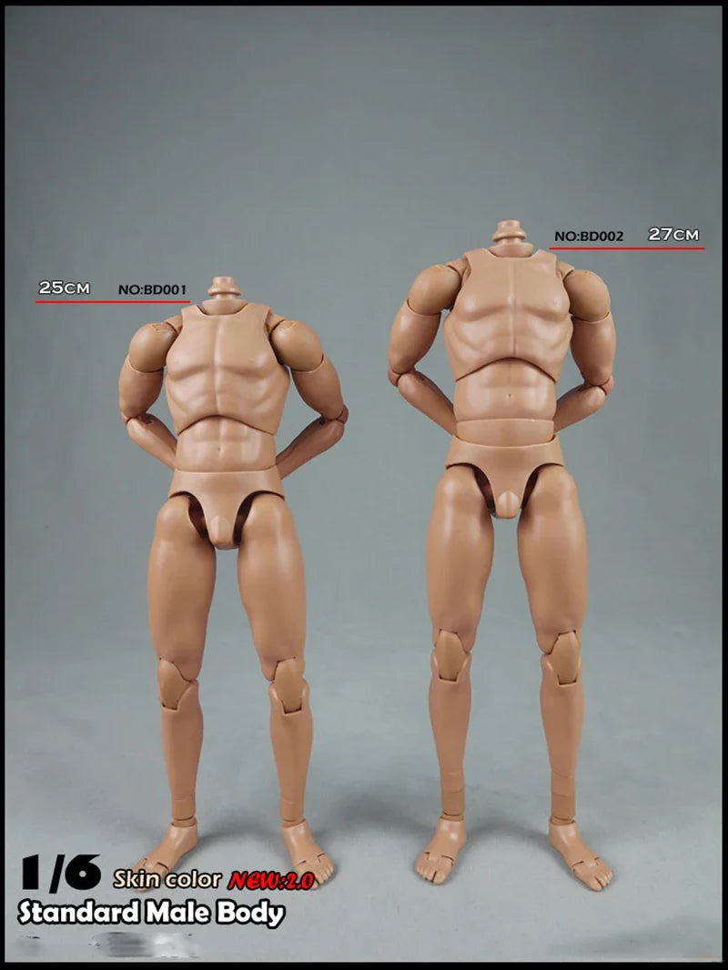 COOMODEL 1/6 Standard Muscle Male Soldier Body MB001 MB002 MB003 BD001 BD002 BD003 BD004 25/27CM Military Action Figure Doll