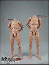 COOMODEL 1/6 Standard Muscle Male Soldier Body MB001 MB002 MB003 BD001 BD002 BD003 BD004 25/27CM Military Action Figure Doll