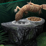 Reptile Food and Water Feeder Reptile Feeder Food Dish  Flexible Sturdy Terrarium Bowls Durable for Lizard Dragon pet supplies