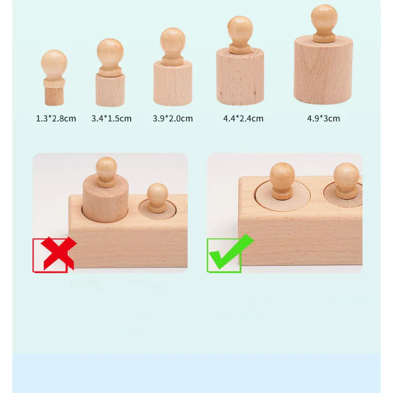 Montessori Knobbed Cylinder Socket Development Sensory Toys Hand-eye Coordination for Kids 3 Years Old and Up Gifts for Children