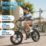 Electric Bike for Adults,750W 48V 13AH Removable Battery Foldable Electric Bikes, 20" x 4.0 Fat Tire 2 Seater Electric Bicycles