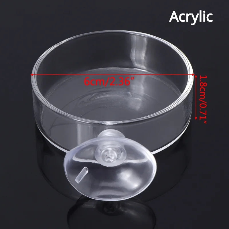 Aquarium Feeding Tube Dish Clear Glass Fish Tank Shrimp Snail Food Feeder Bowl Aquarium Feeding Tool Accessories