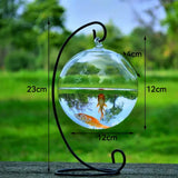 Mini Fish Tank Aquarium Accessories Goldfish Glass Fishbowl Fishing Hydroponics Terrarium Plant Flower Pot Pet Jellyfish Carp
