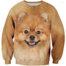 3D Printed Shetland Sheepdog Pomeranian Hoodie Men Long Sleeved Sweatshirt Spring Autumn Round Neck Pets Dog Graphic Pullovers