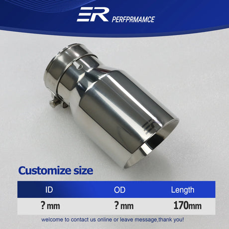 Exhaust Racing car Exhaust Tip Stainless Steel Exhaust System tail pipe decoration car universal muffler nozzles