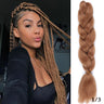 24Inch Synthetic Hair Extensions for Braids 100g/pc Jumbo Braiding Hair Kanekalon Colored Hair Pre Stretched Yaki Jumbo Braids