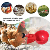 6Pcs Poultry Drinking Bowl Feeder Automatic Chicken Drinker Cup Kit Chicken Feeder Livestock Feeding Watering Supplies