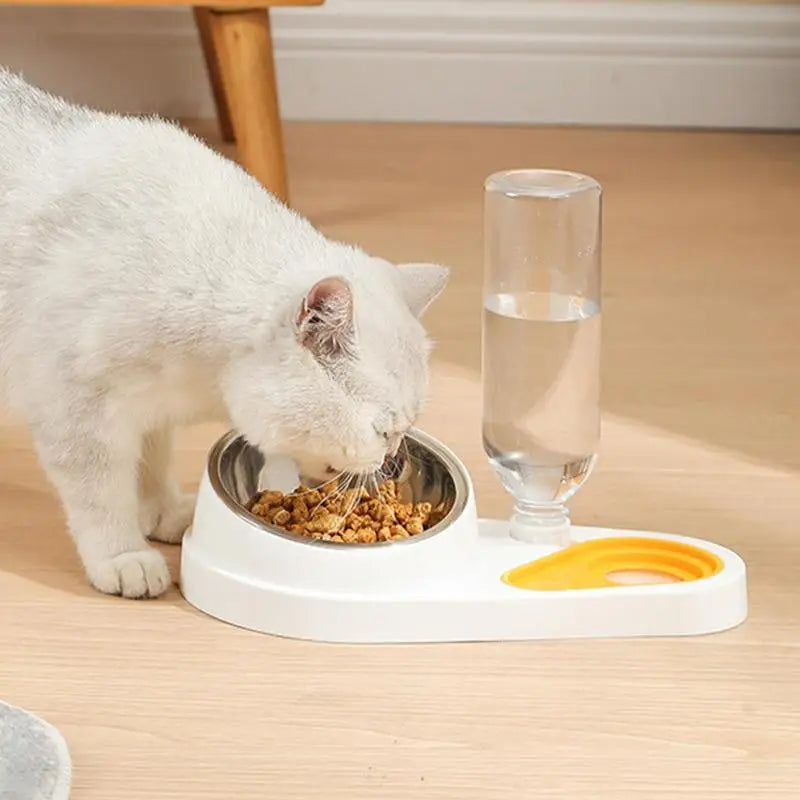 Tilted Cat Food Bowl Set Automatic Pet Water Dispenser and Food Bowl Pet Supplies for Cats Dogs Feeding & Watering Accessories