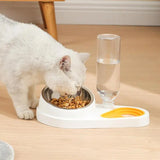 Tilted Cat Food Bowl Set Automatic Pet Water Dispenser and Food Bowl Pet Supplies for Cats Dogs Feeding & Watering Accessories