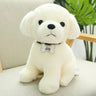 Cute Simulation Of Many Kinds Of Dog Plush Toys Delicate Small Kawaii Two Ha Dolls For Children And Girlfriends Birthday Gifts