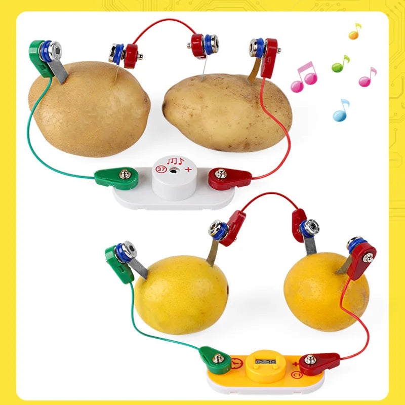 Kids Montessori Toy Fruit Potato Dry Battery Educational Science Toys for Children Technology Experiment Teaching Aids STEM Kit