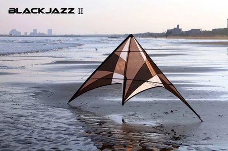 Free shipping Freilein kite Factory dual line stunt kite flying professional wind kites kitesurf accessories inflatable kites