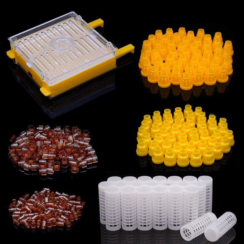 Germany Jenter Queen Rearing Kit Nicot Bee Queens Rearing System Queen Bee Larva Move Cage Goods Tool For Beekeeper Supplies