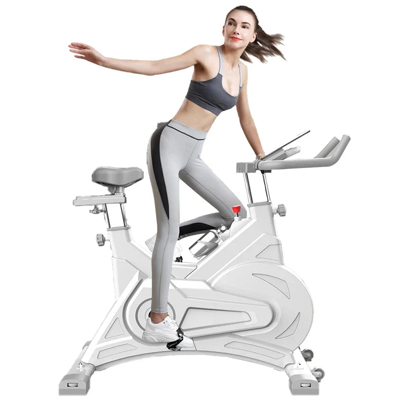 Professional Indoor Cycling Iron Fitness Magnetic Spin Bike Resistance Spinning Exercise Bike