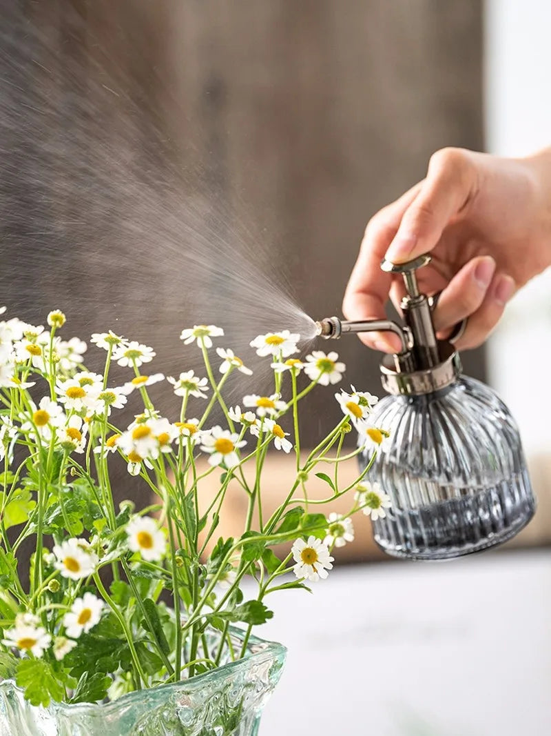 Glass Embossed Air Pressure Gardening Small Watering Can Disinfection Watering Bottle Household Glass Spray Bottle