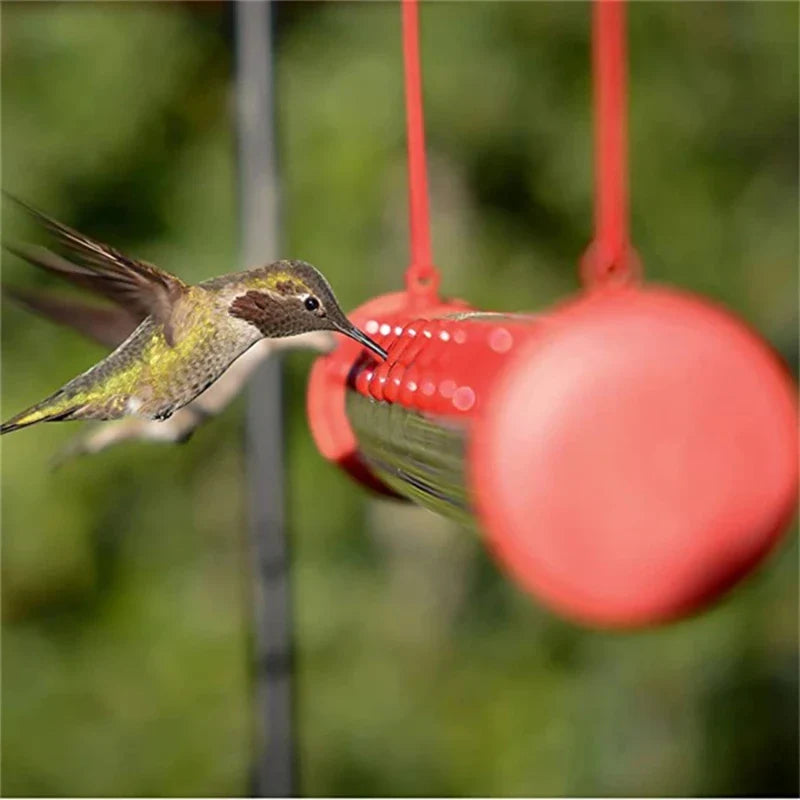 Hummingbird Feeder with Hole Birds Feeding Transparent Pipe Easy to Use Household Traditional Garden Feeding Supplies with Hole