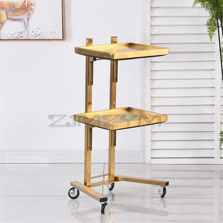 Hairdressing stainless steel cart Japanese two-layer folding beauty cart hair salon tool cart beauty cart