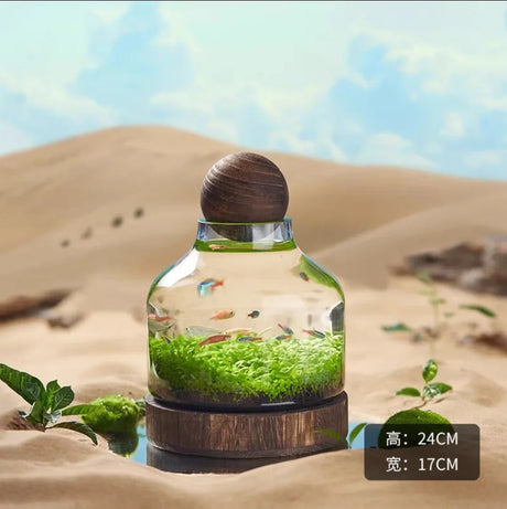 Ecological Bottle Micro Landscape Glass Ecological Fish Tank Aquarium Aquarium Small Fish Water Grass Bottle