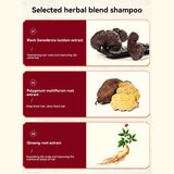 240ml Ginger Plant Extract Anti-Hair Loss Hair Shampoo Polygonum Multiflorum Oil Control Anti-Dandruff Shampoo Natural Herbal