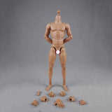 COOMODEL 1/6 Standard Muscle Male Soldier Body MB001 MB002 MB003 BD001 BD002 BD003 BD004 25/27CM Military Action Figure Doll