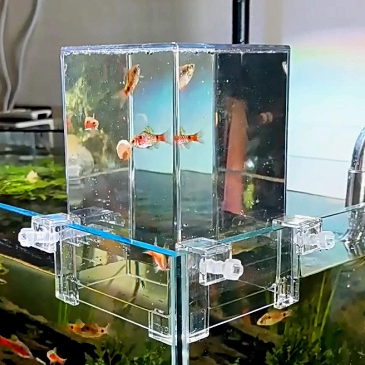 Negative Pressure Fish Tank Suspended Fish Elevator Fish Tank Water Level Maintenance Increase Fish Activity Area Aquarium Decor