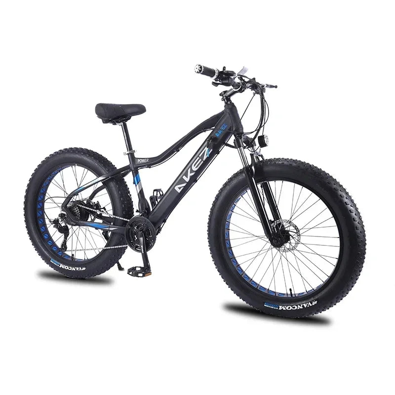 US EU UK 4.0 Fat Tire 26 Inch Electric Snow Bicycle Mountain e bike 750W Brushless Motor Cruiser Bikefor Men Electric bicycle