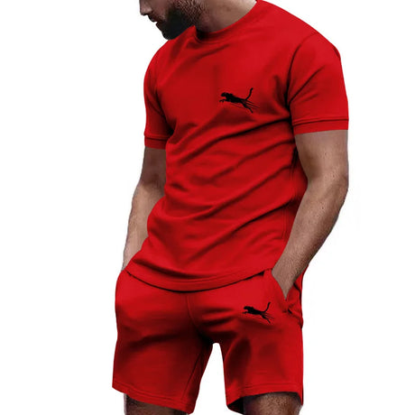 2024 New Men’s Sportswear Summer Suit Men’s Fitness Suit Sports Suit Short Sleeved T-shirt + Shorts Quick Drying 2 Piece Sets