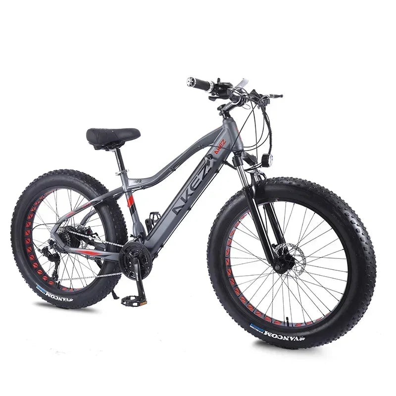 US EU UK 4.0 Fat Tire 26 Inch Electric Snow Bicycle Mountain e bike 750W Brushless Motor Cruiser Bikefor Men Electric bicycle