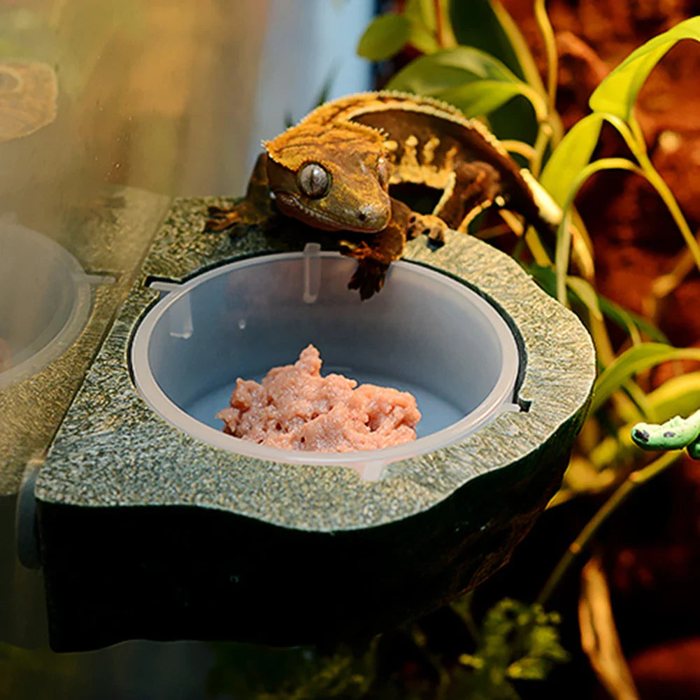 Reptile Food Water Bowl Magnetic Adsorption Feeding Dish With Separate Food Basin Bearded Dragon Feeder Terrarium Tank Decor