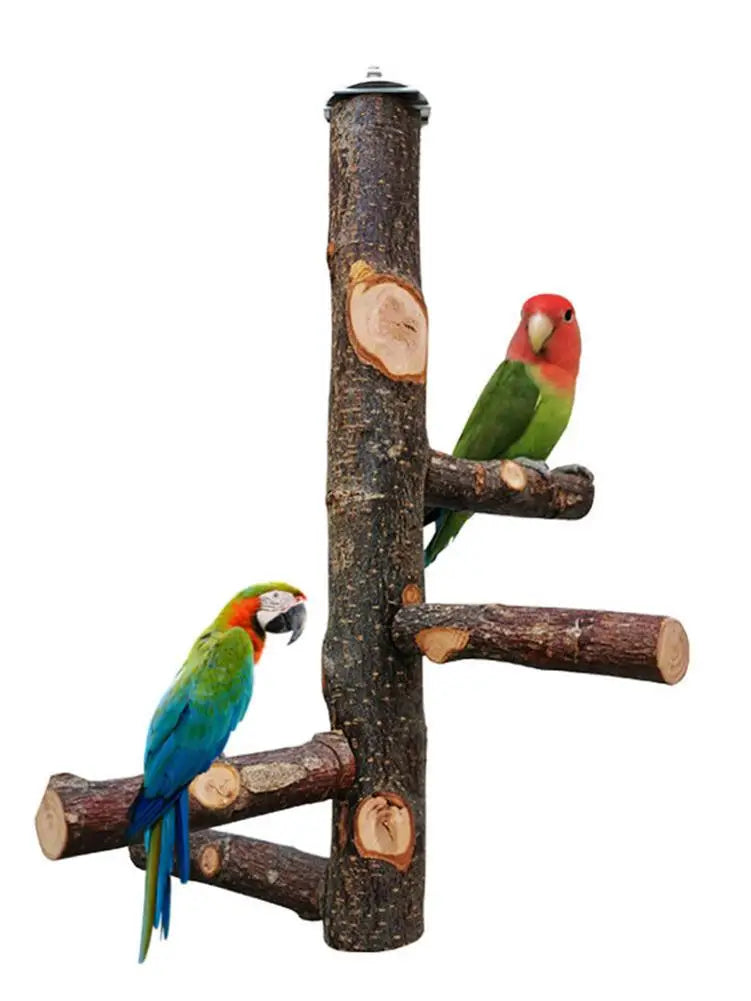 Pet Parrot Bird Standing Stick Wood Pole Bird Cockatiel Parakeet Perches Bite Claw Grinding Toy Bird Cage Accessories