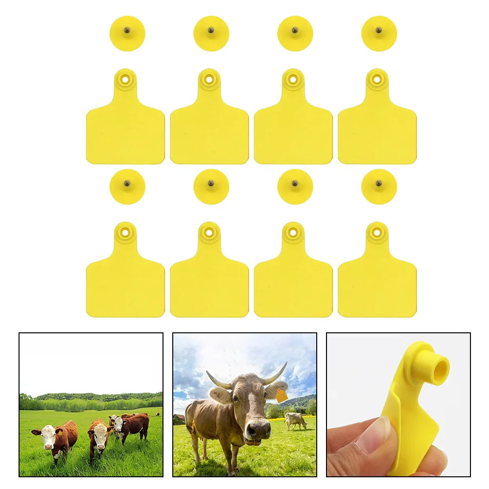 100 Pcs Digital Signage Cattle Ear Tag Animal Signs Tags Without Number The Cow Blank Plastic Calf Sheep Tpu