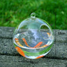 Mini Fish Tank Aquarium Accessories Goldfish Glass Fishbowl Fishing Hydroponics Terrarium Plant Flower Pot Pet Jellyfish Carp